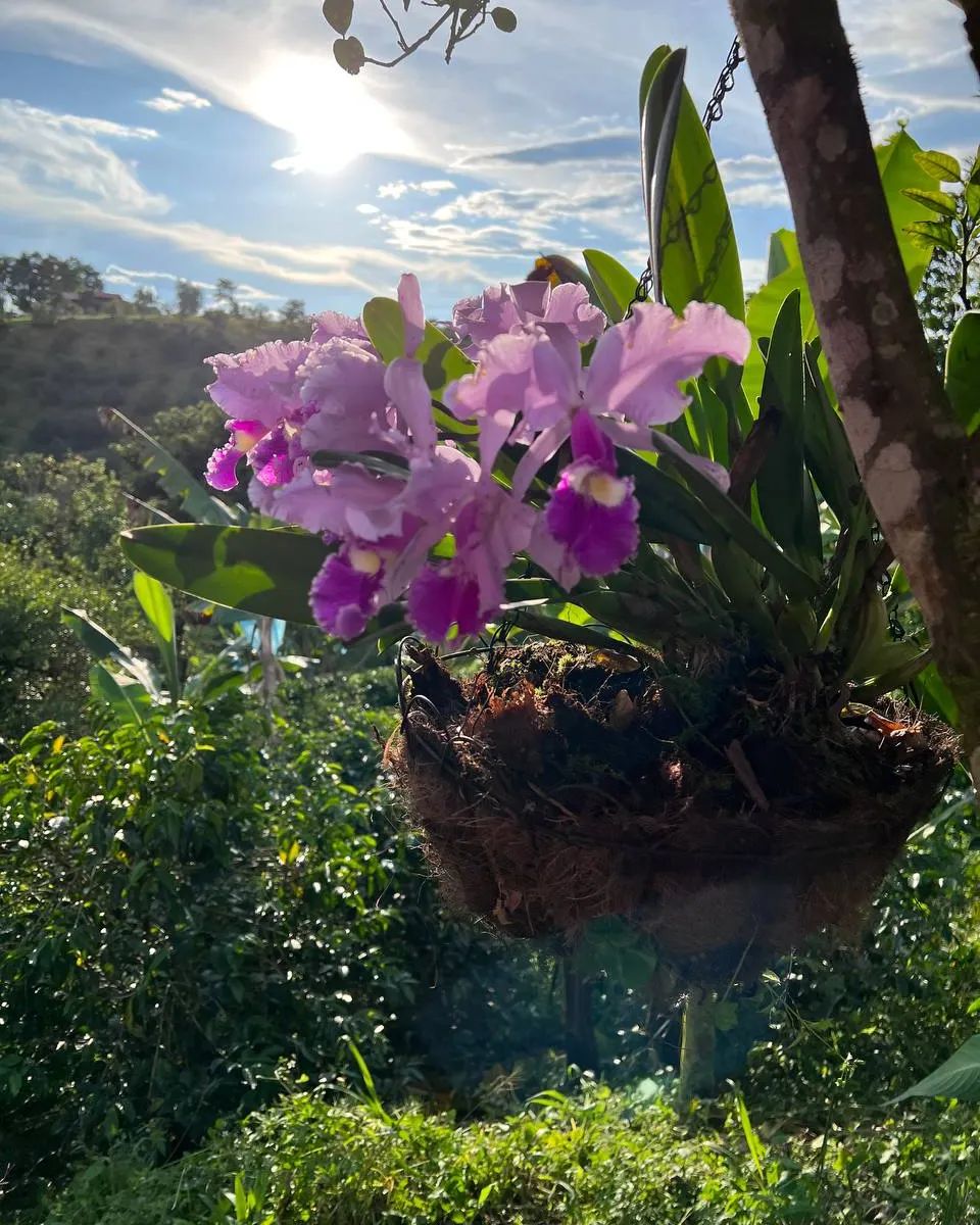 Sobre nosotros: Montecielo Coffee desde 1942 - 3 Profundas Promesas Finca Montecielo