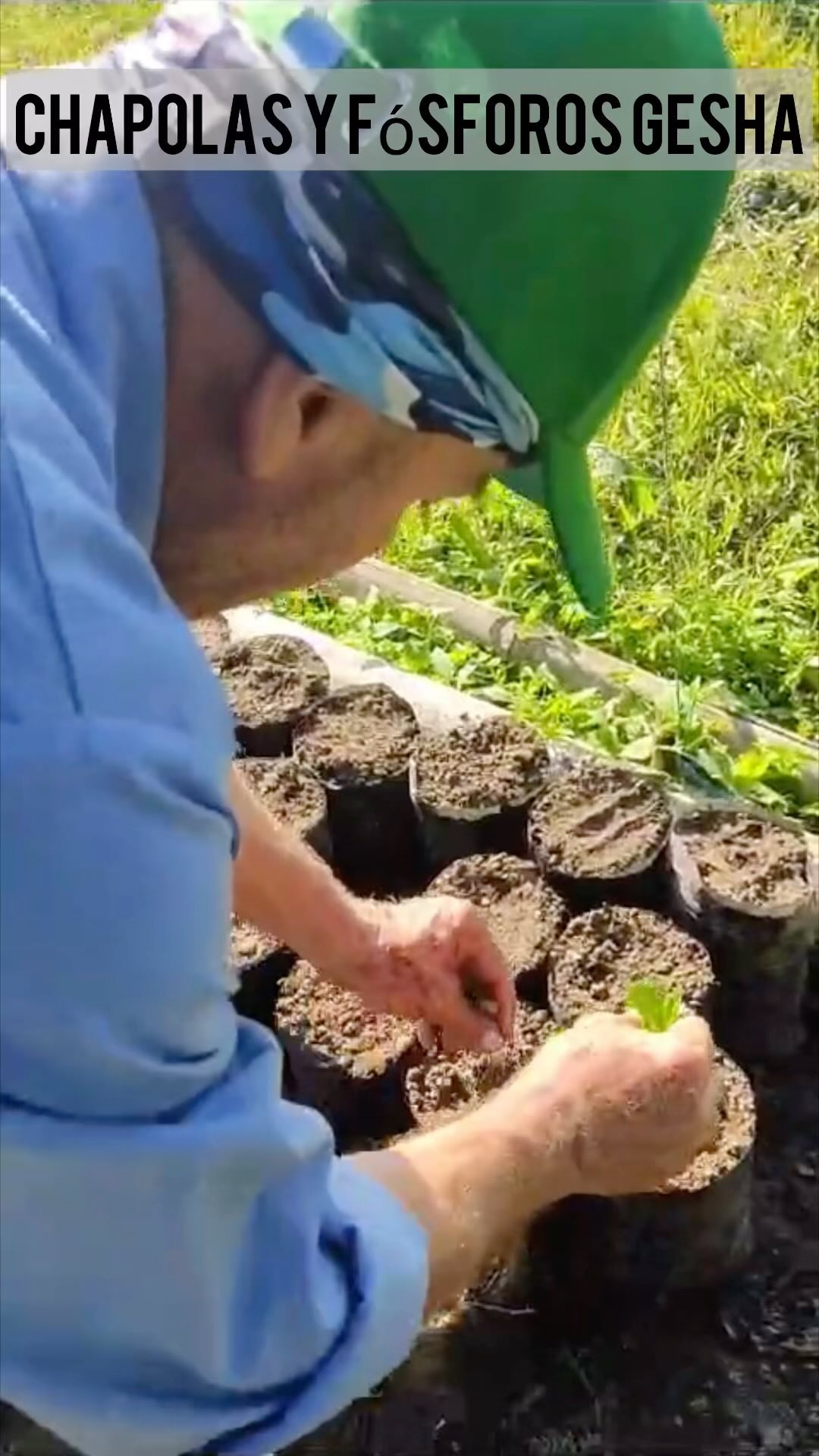 Exploring the Exquisite World of the Best Colombian Coffee: Montecielo